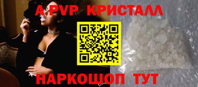 стаф Моздок