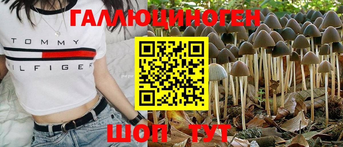 Псилоцибиновые грибы мицелий  Псилоцибиновые грибы ЛСД  купить закладку  Ступино  Вход с VPN 