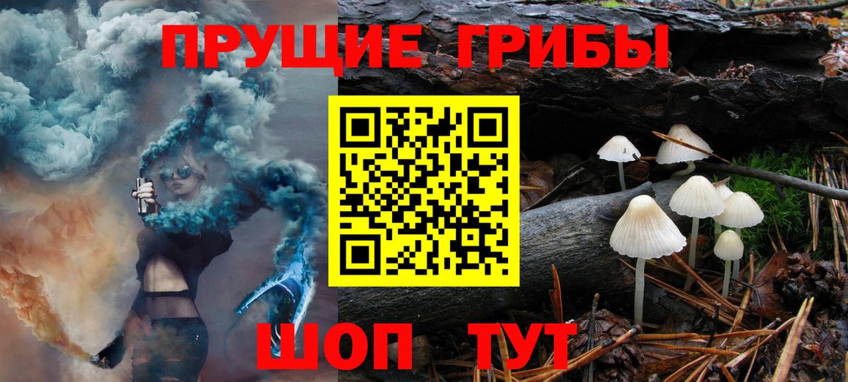 Галлюциногенные грибы прущие грибы Ступино